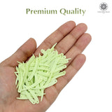 Sword Shape Flat Matte Sequins 34x5mm, 100 Grams - Shadow Lime