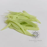 Sword Shape Sequins Lemon Green
