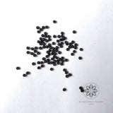 Seed Beads / Poat Black 0.15mm