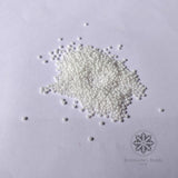 Seed Beads / Poat White 0.15mm